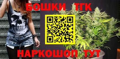МДПВ Лесосибирск