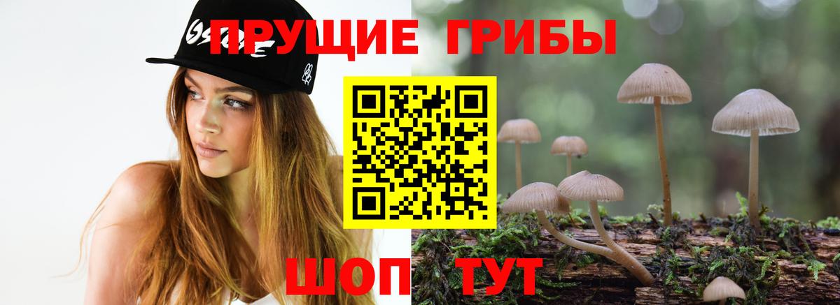 Галлюциногенные грибы Psilocybe  Вход с VPN  Феодосия 
